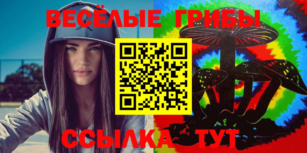 Галлюциногенные грибы Psilocybine cubensis Хасавюрт
