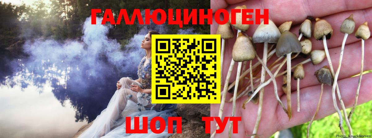 Галлюциногенные грибы прущие грибы  сколько стоит  Хасавюрт  Вход с VPN 